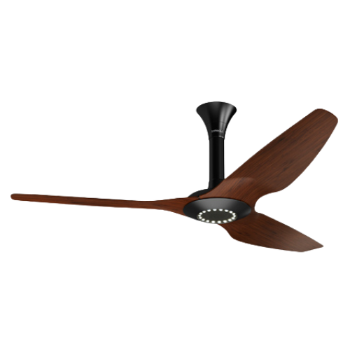 Ceiling Fan Installation Service Murrieta Temecla CA 1